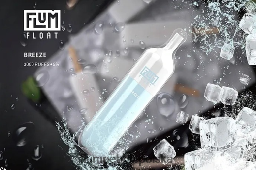 FLUM FLOAT 3000 zaciągnięć Bryza Flum Pebble Vape Price JHT8V19