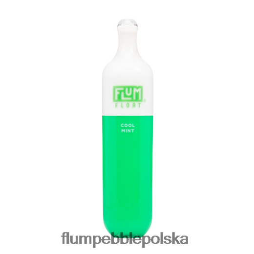 FLUM FLOAT 3000 zaciągnięć orzeźwiająca mięta Flum Pebble Near Me JHT8V25