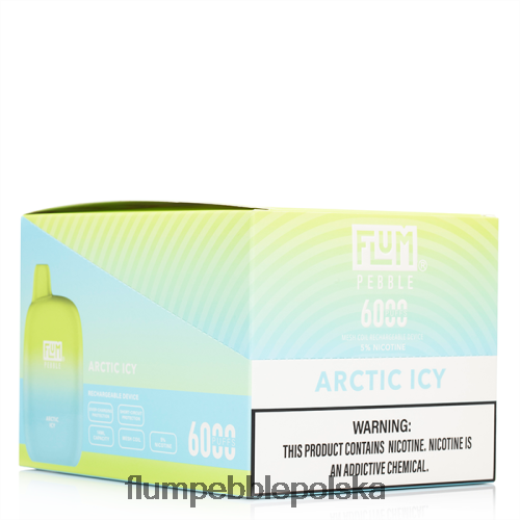 FLUM PEBBLES 6000 zaciągnięć 10 opakowań artyczny lodowaty Flum Pebble Vape Near Me JHT8V6