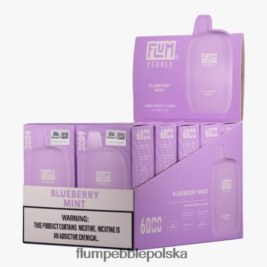FLUM PEBBLES 6000 zaciągnięć 10 opakowań jagodowa mięta Flum Pebble Vape Review JHT8V18