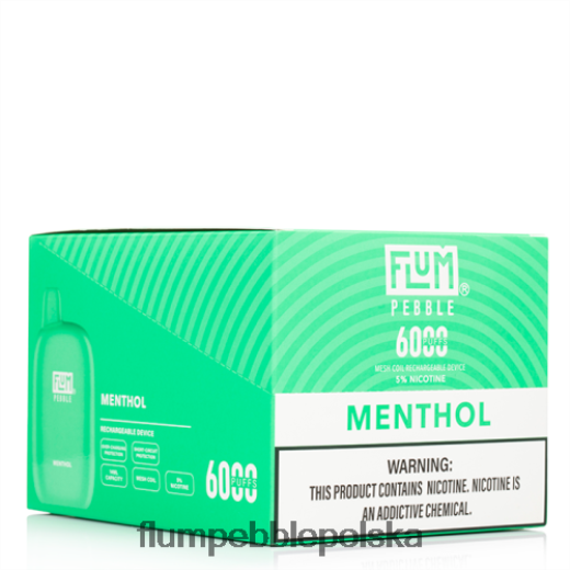 FLUM PEBBLES 6000 zaciągnięć 10 opakowań mentol Flum Pebble Vape Review JHT8V58