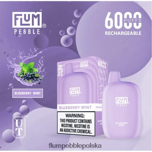 FLUM PEBBLES 6000 zaciągnięć jagodowa mięta Flum Pebble Vape Flavors JHT8V17