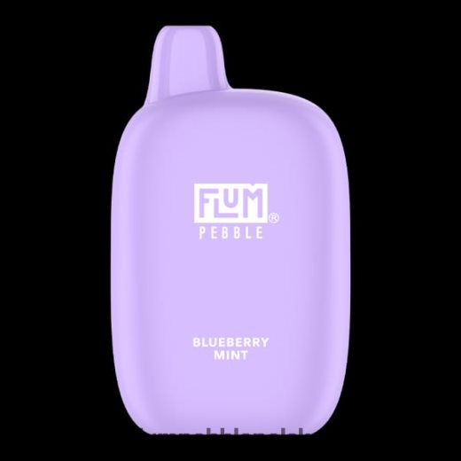FLUM PEBBLES 6000 zaciągnięć jagodowa mięta Flum Pebble Vape Flavors JHT8V17