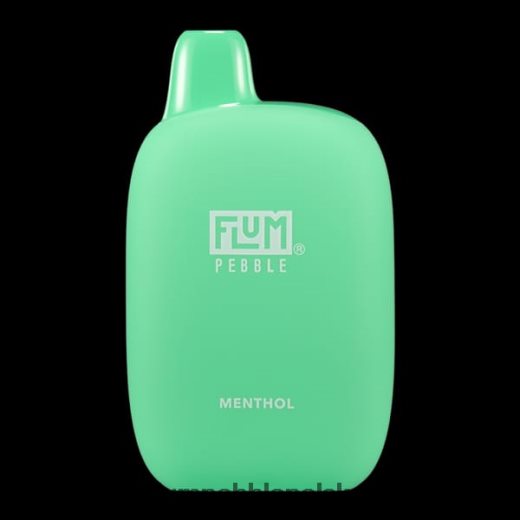 FLUM PEBBLES 6000 zaciągnięć mentol Flum Pebble Vape Flavors JHT8V57