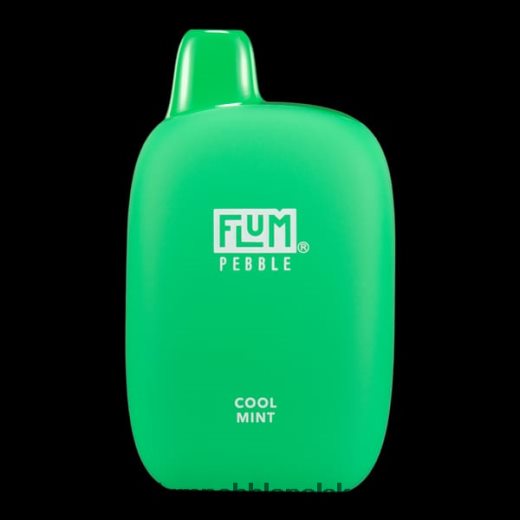FLUM PEBBLES 6000 zaciągnięć orzeźwiająca mięta Flum Pebble Flavors JHT8V24